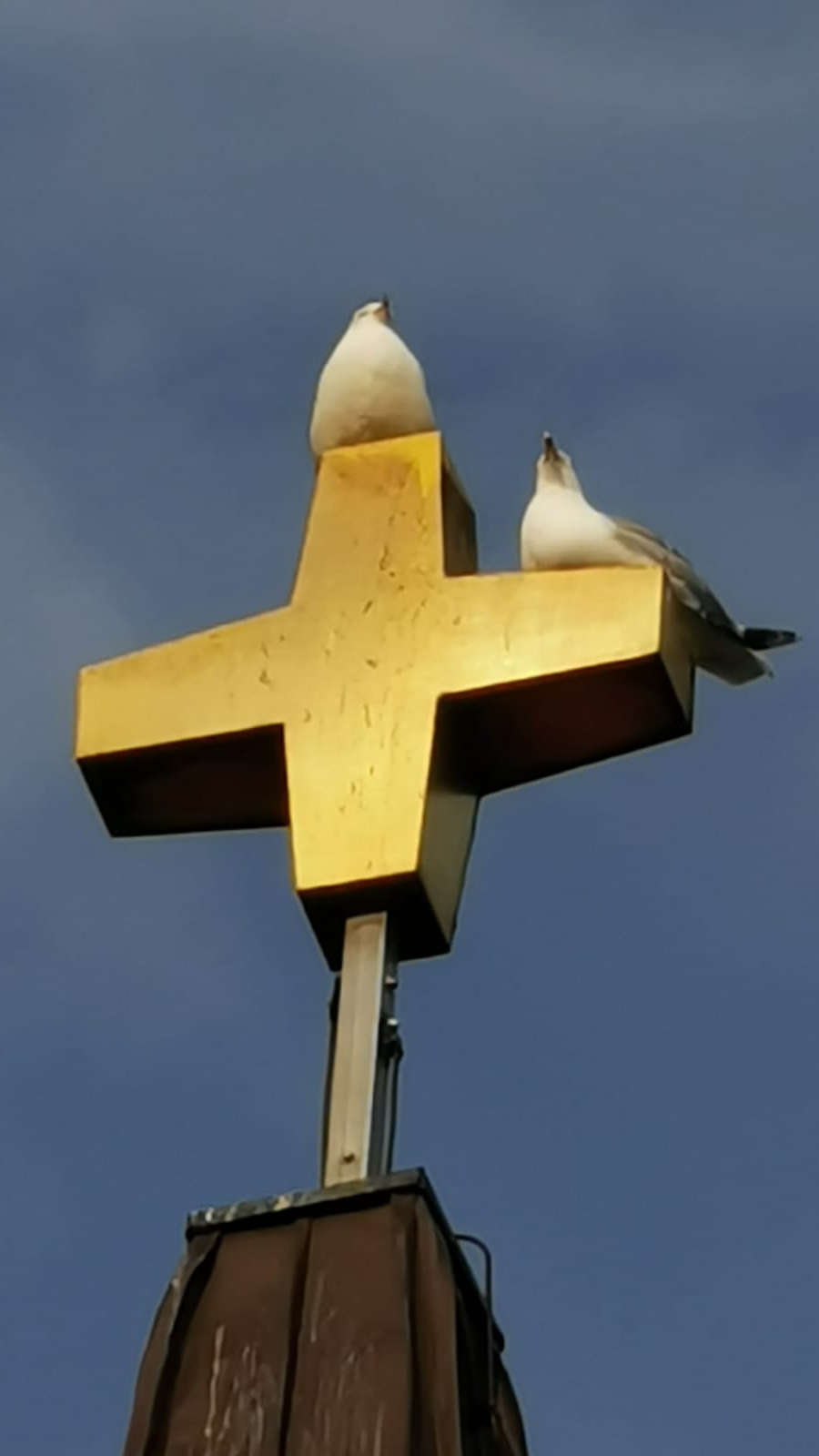 unser Kirchenchor beim festl. Herbstkonzert 2012 (für volle Größe hier klicken)